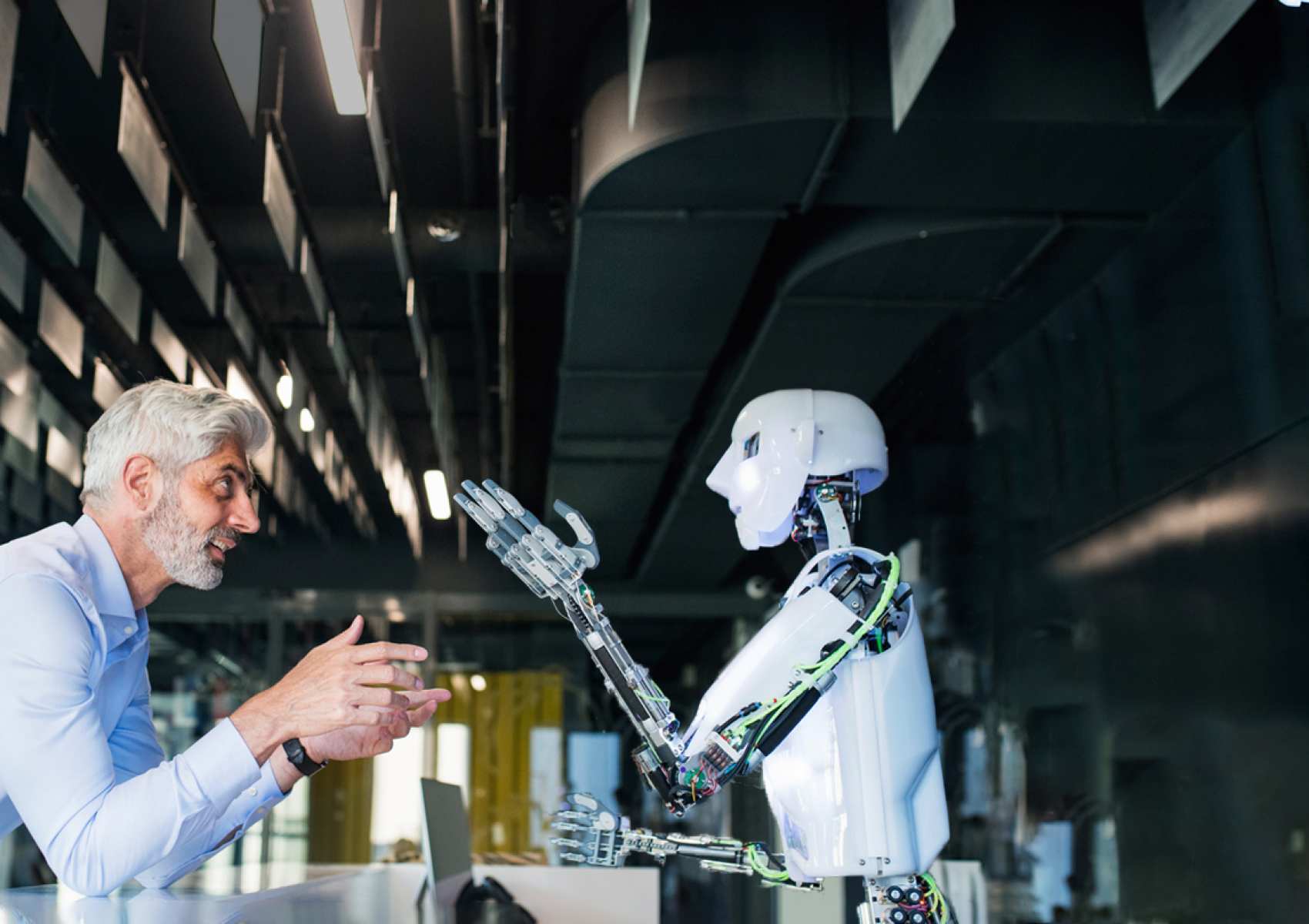 DNBelicht_cover-achtergrond