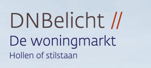 DNBelicht_cover - responsive - DNBelicht //